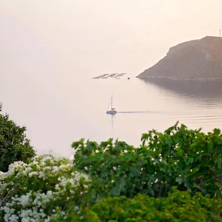 Poppy's House * Emborios