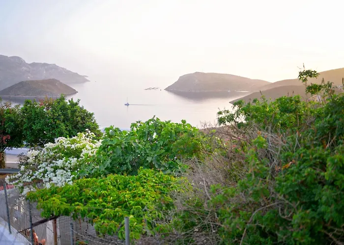 Poppy's House 別荘